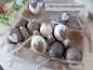 Preview: Ostereier * HANDBEMALT * 10 Stück * Kunststoff * Beige-Taupe-Weiß * Herz * Shabby * Landhaus