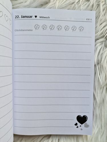 Engeltagebuch 2025 * mit 12 Engelbildern * DinA5 * 386 Seiten * mit Platz für Termine oder auch tägliche Erlebnisse, Gedanken, Glücksmomente, Träume, Wünsche, Affirmationen, Skizzen...