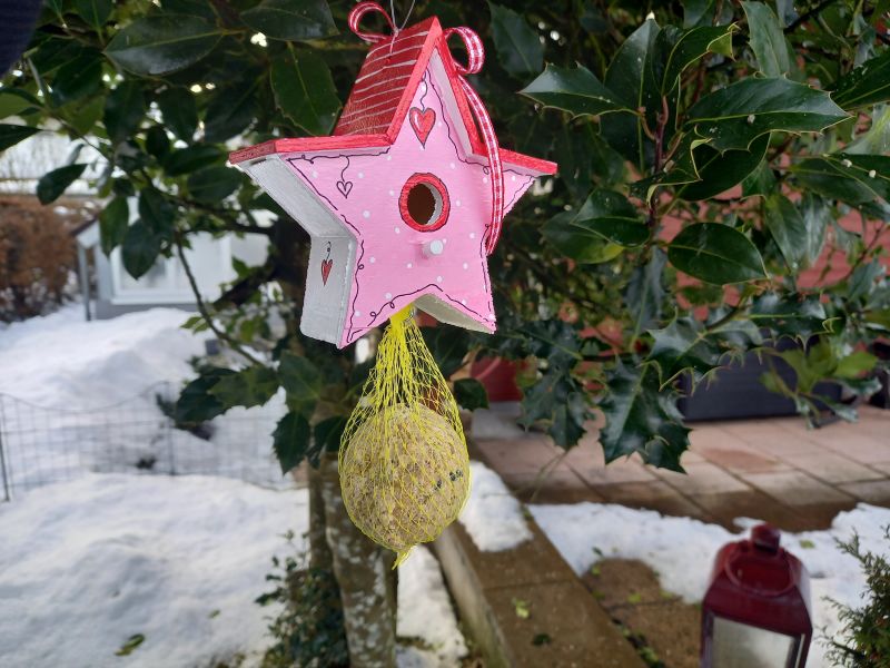 Knödelhänger * Vogelhaus * Stern * Rosa-Rot