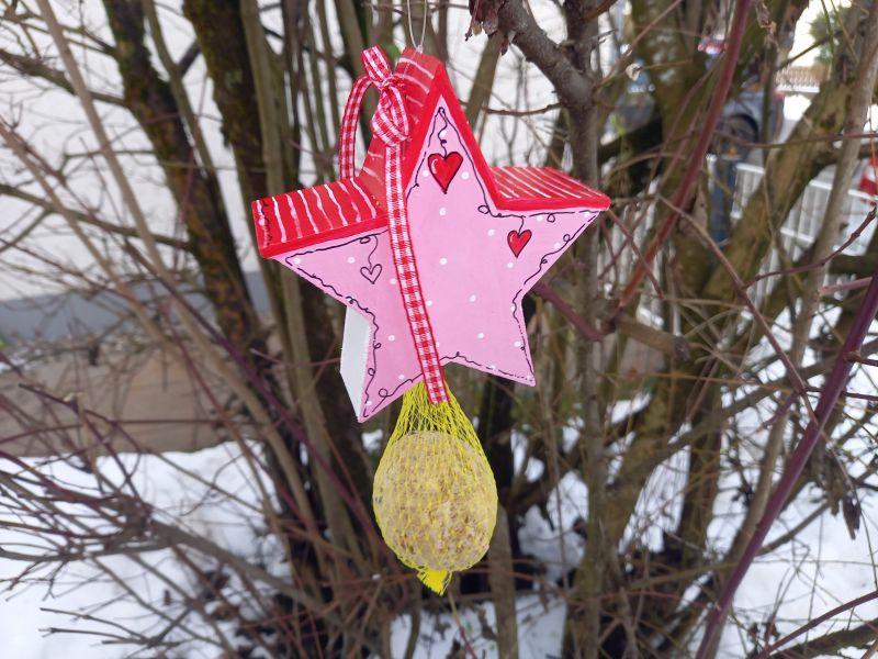 Knödelhänger * Vogelhaus * Stern * Rosa-Rot