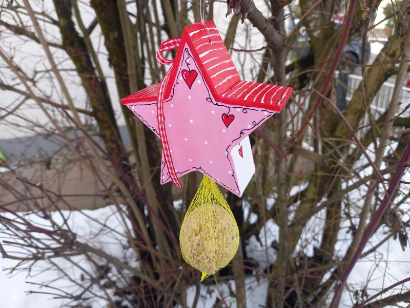 Knödelhänger * Vogelhaus * Stern * Rosa-Rot