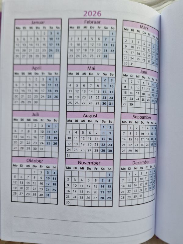 Engeltagebuch 2025 * mit 12 Engelbildern * DinA5 * 386 Seiten * mit Platz für Termine oder auch tägliche Erlebnisse, Gedanken, Glücksmomente, Träume, Wünsche, Affirmationen, Skizzen...